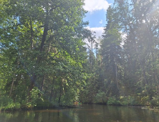 b20240818_113947-min