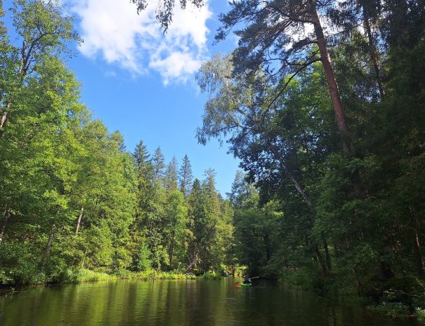 b20240818_114038-min