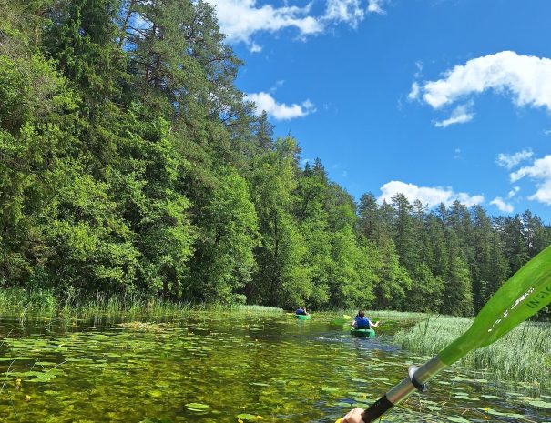 b20250629_135800-min