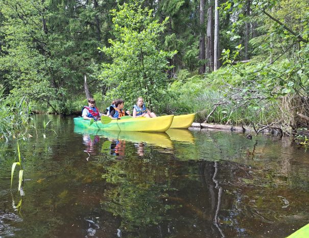 b20250629_142102-min