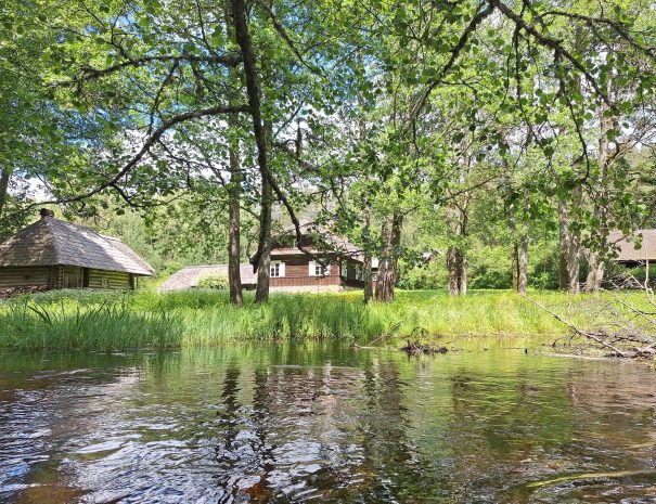 b20250629_144230-min