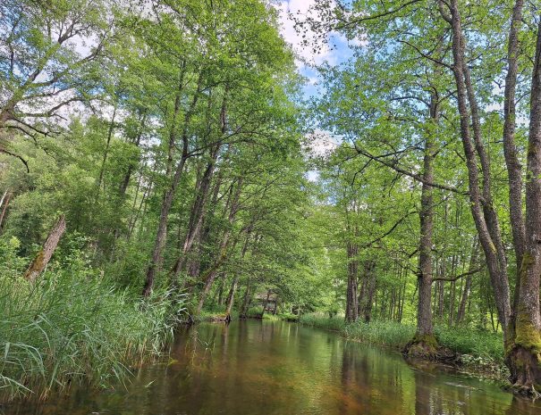 b20250629_144409-min