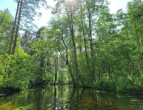 b20250629_162030-min