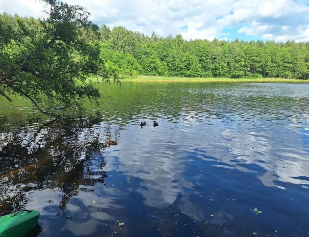 b20250629_162613-min