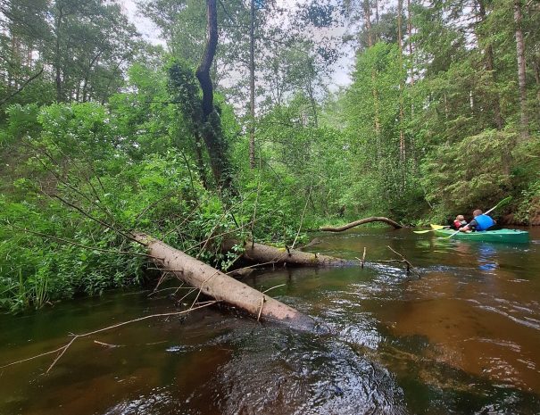 b20250629_170403-min