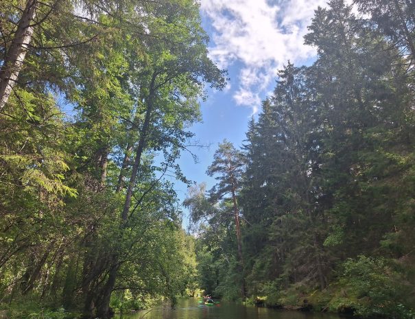 k20240818_114011-min