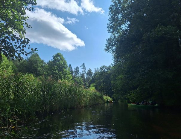 k20240818_115042-min