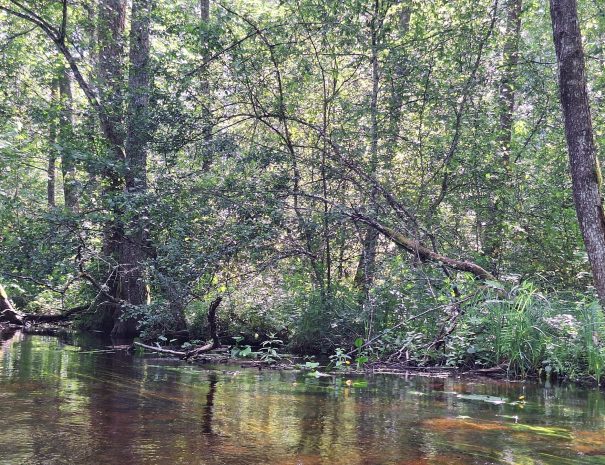 k20250629_161651-min