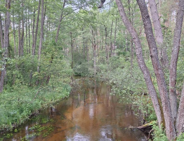 k20250629_171820-min